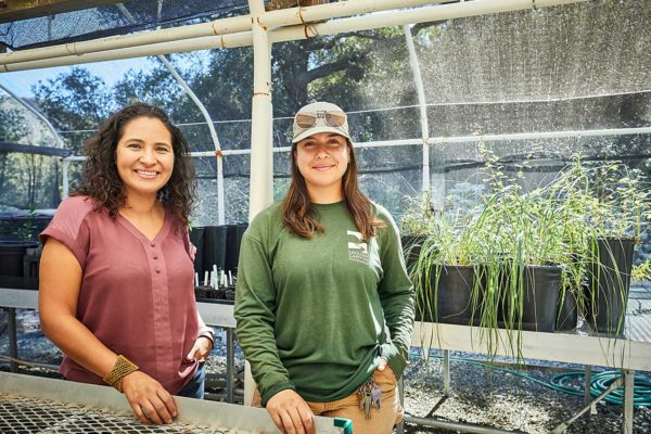 A native-seed nursery reopens to restore OC wildlands
