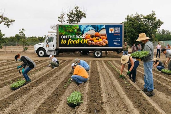 Irvine farm feeds those in need