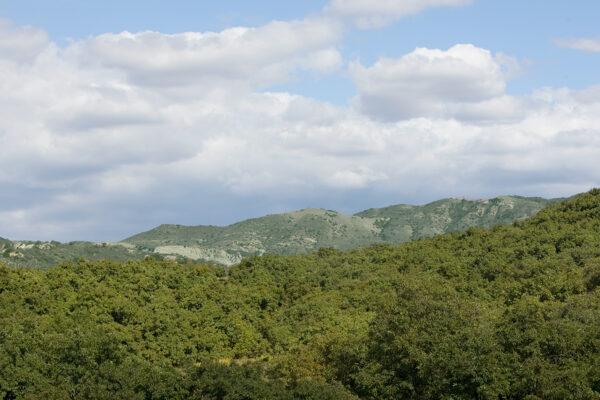 City to establish new preserve