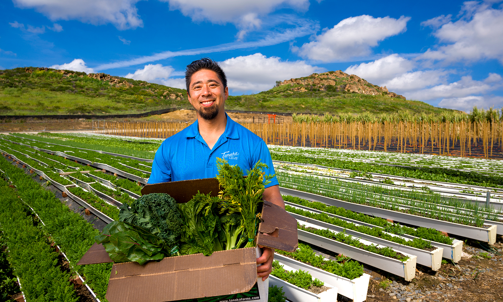 Strawberries at your doorstep