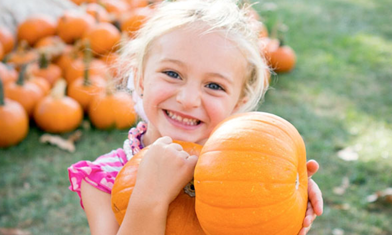 Irvine Park Railroad Pumpkin Patch Irvine Standard