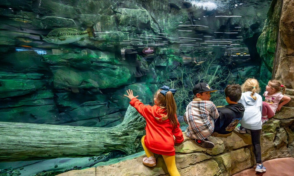 Bass Pro Shops opening is one for the ages