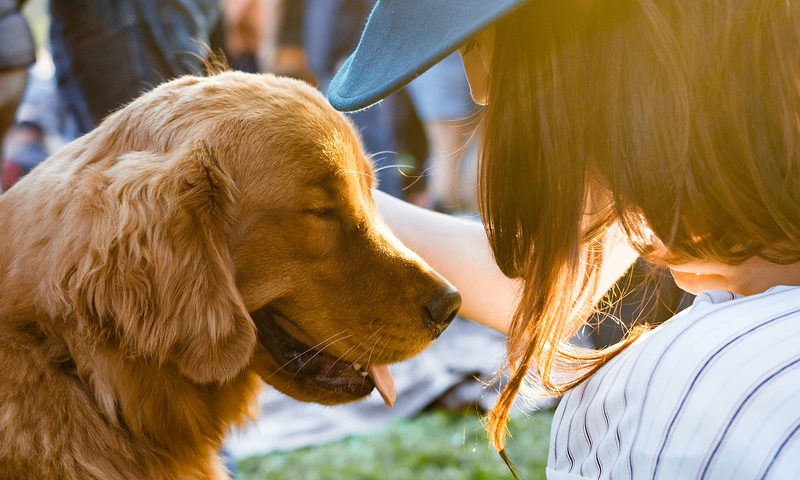 $25M in upgrades at pet adoption center