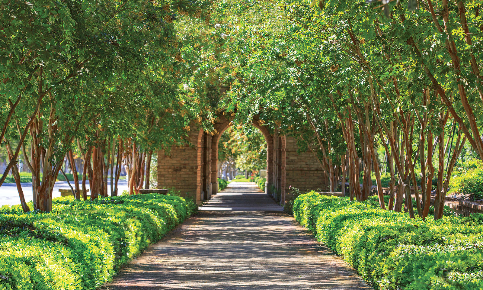 A secret to Irvine’s beauty