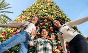Welcome to the holidays