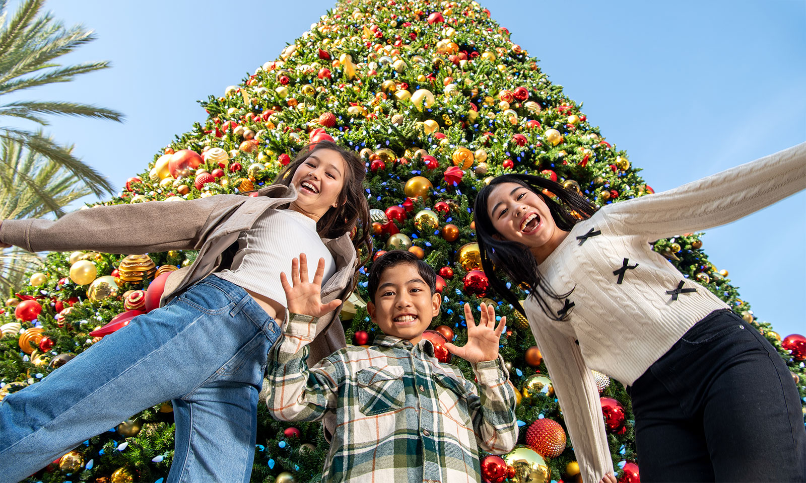 Welcome to the holidays