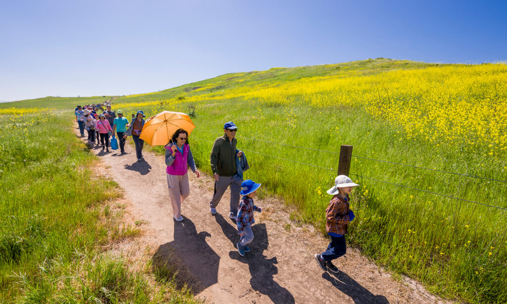 Rooted in nature: Irvine honors open space legacy