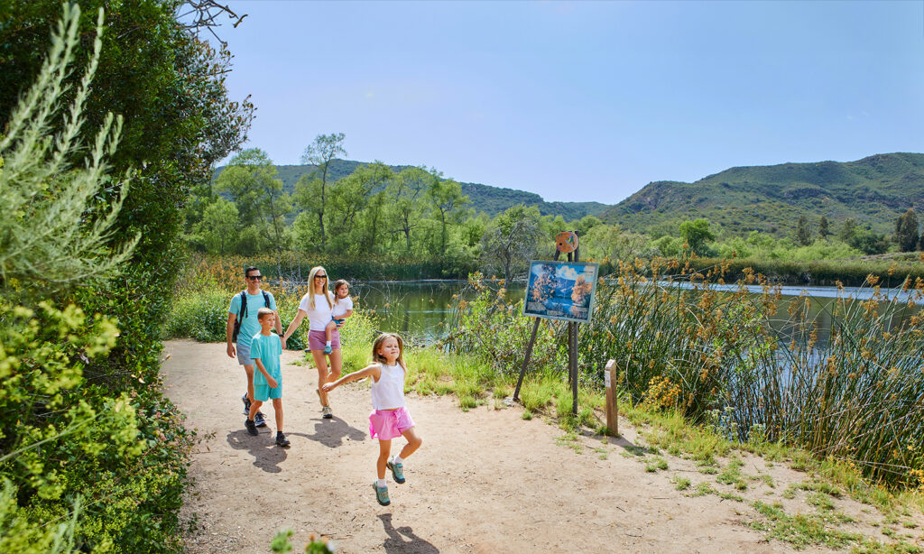 Don’t Dally: Hike Dilley 