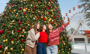 Celebrate the season