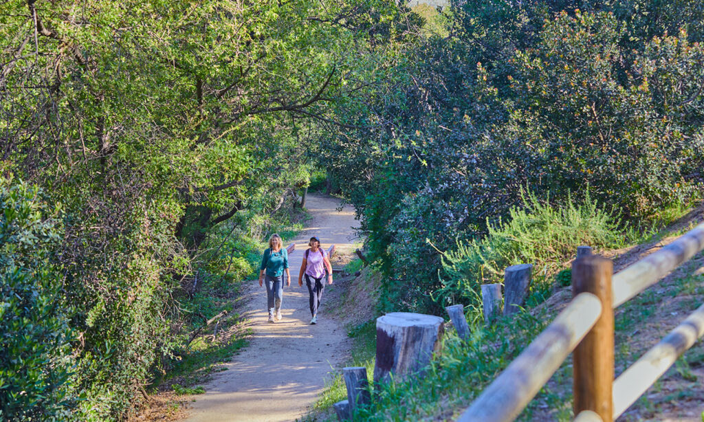 A toast to the trees of Peters Canyon