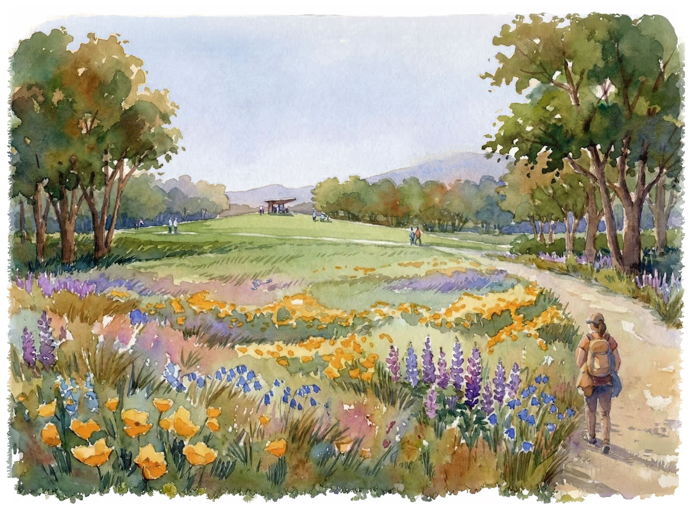 Irvine’s nationally ranked park system may get even better